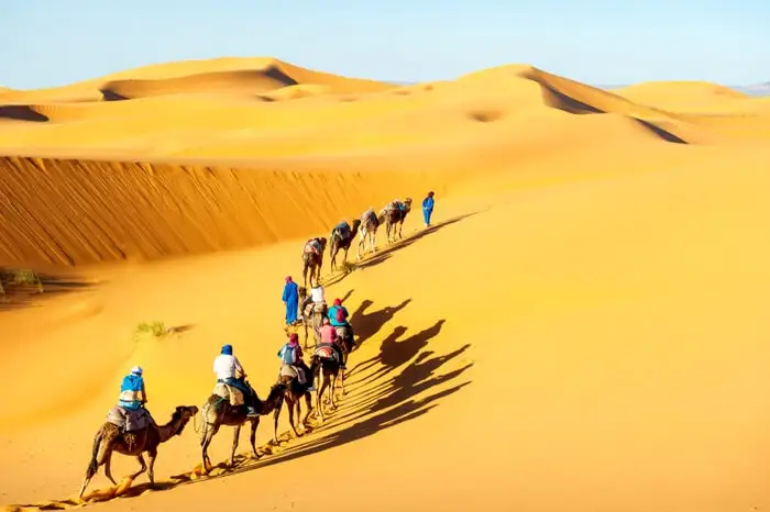 Jaisalmer Desert